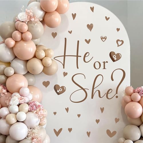 Gender Reveal Party Decals He or She What Will Baby Be Decorations for Balloon Arch Babies Gender Signs Oh Baby Shower Sign Backdrop Decal Girl or Boy Party Supplies Vinyl Sticker for Pregnacy Banner