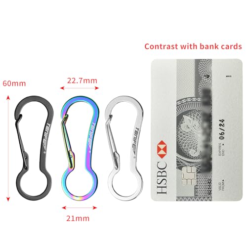 Stainless Steel Carabiner Clip 2-Pack - Durable Keychain Hooks