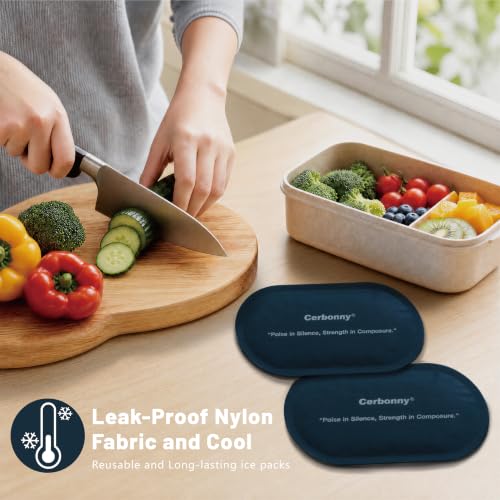 Slim Ice Packs for Lunch Boxes - Reusable 2 Pack, Dark Blue