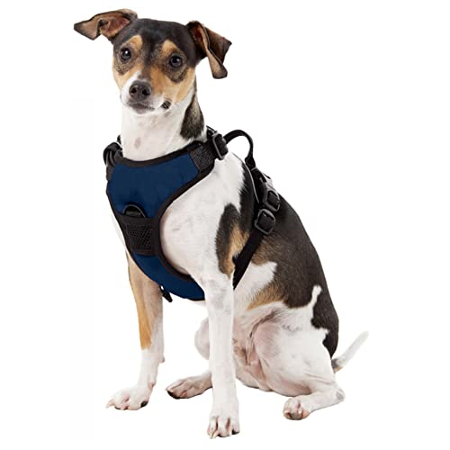 Front Clip Pet Harness - Ohio State Buckeyes - Large