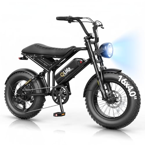 Electric Bike for Kids & Teens - Qlife Spark D1 1500W, 16" Fat Tire - Black