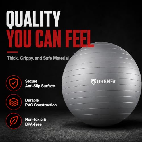 URBNFit 20" Silver Anti-Burst Yoga Ball for Exercise, Pregnancy & Posture