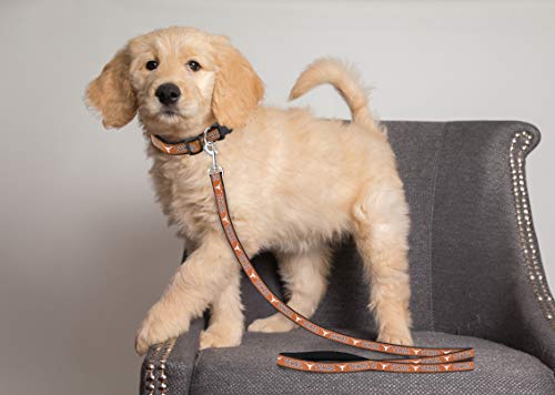 NCAA Dog Leash - Small, Texas Longhorns, Durable & Colorful