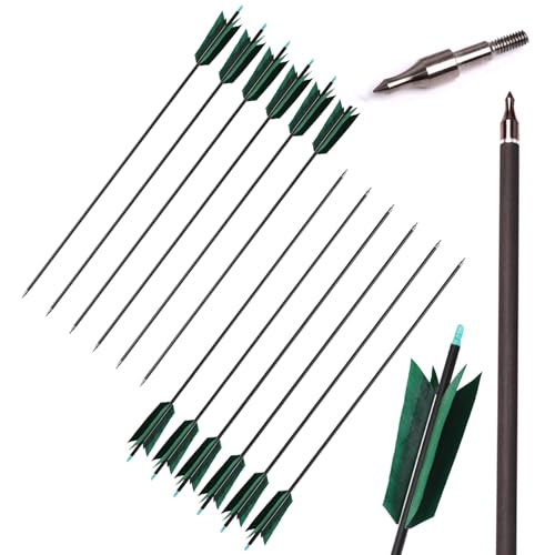 31 Inch Carbon Arrow with Turkey Feathers for Hunting & Target Practice - Spine 500
