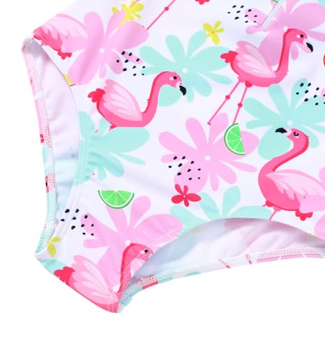 Girls Long Sleeve Swimsuit - Zipper Rash Guard, UPF 50+, Pink Flamingo, 5-6 Years