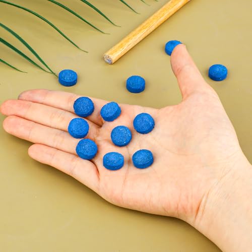 20 High-Quality Billiard Pool Cue Tips with Storage Box - 9mm, 10mm, 12mm, 13mm
