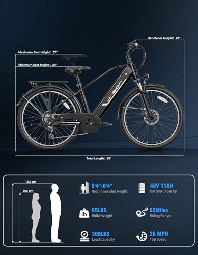 Electric Bike for Adults - 26" Jasion Roamer ST with 1200W Motor, 528Wh Battery, 28 MPH - Obsidian Black