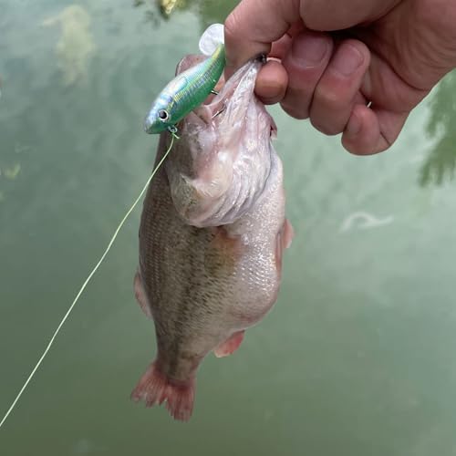 Paddle Tail Swim Baits - Realistic Soft Plastic Fishing Lures, 3.54" - 3 Pieces