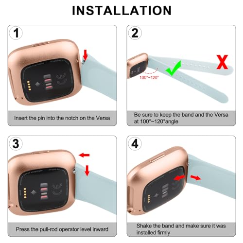 Silicone Bands for Fitbit Versa 2 - Classic Adjustable - Succulent