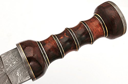 Handmade Damascus Steel Roman Gladius Sword with Red Wood Handle - Replica 15" Collectible Weapon