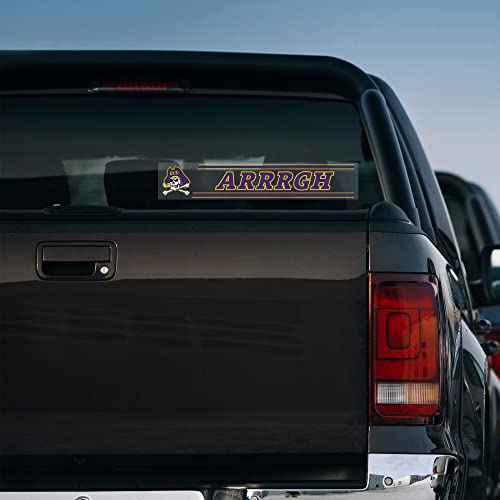 Detroit Lions NHL Tailgate Sticker - 3x17 Inch Car Decal