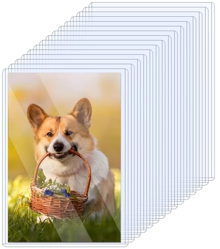15 Pack Clear Rigid Photo Protectors - 5" x 7" Sleeves