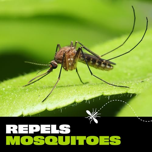 Mosquito and Tick Repellent Bug Spray - 4 Ounce Picaridin