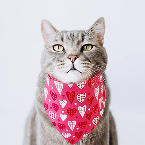 Valentine's Day Pet Bandana Set - Heart & Kiss Print - Large