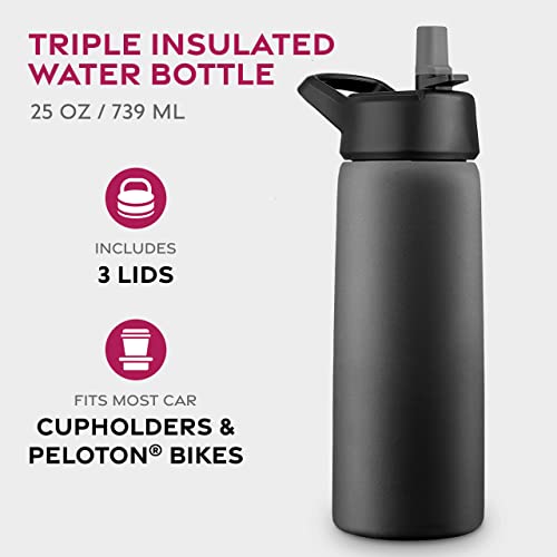 FineDine 25 Oz Insulated Water Bottle with Straw - Inky Raven Black, Triple Wall, Leak-Proof, Durable, BPA-Free