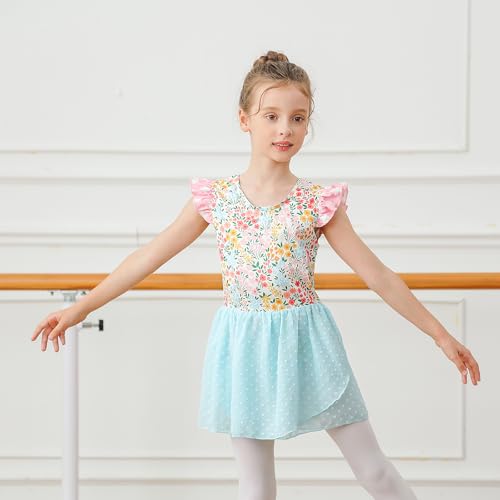 Ballet Leotard for Girls - Ruffle Sleeve Tutu Dress 5T Flower Blue