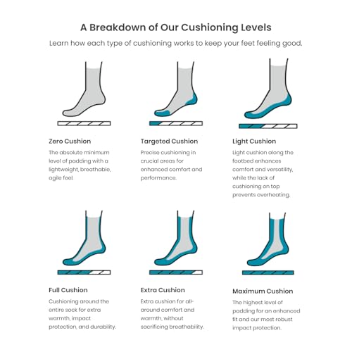 Smartwool Unisex Everyday No-Show Socks, Medium, Black
