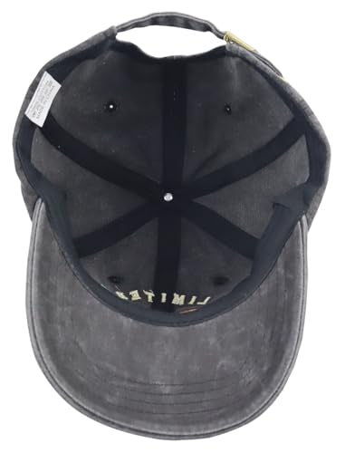 Limited 2001 Edition Baseball Cap for Men Women Adjustable Cotton Hat