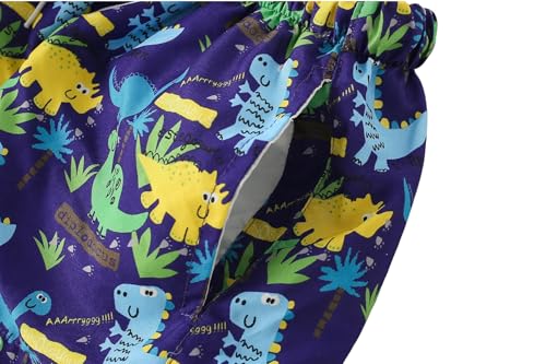 Boys Swim Trunks - Toddler Broad Swim Shorts UPF50+ - Dinosaurs B / 3-4T