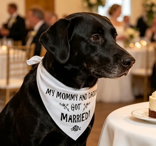 Wedding Dog Bandana - 28" White 'Got Married' Scarf for Pets