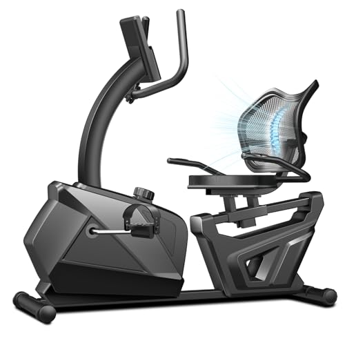 Recumbent Exercise Bike - Magnetic Stationary Bike for Home - Black