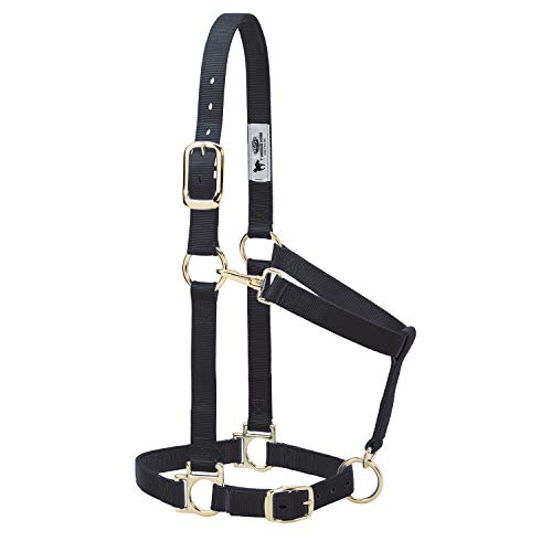 Nylon Horse Halter - Padded, Adjustable with Snap Hook - Black, 1"