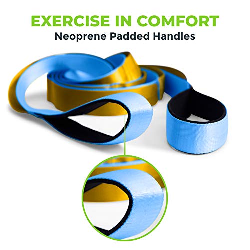 Stretching Strap for Physical Therapy - 12 Loop, 8' Long, Blue/Gold