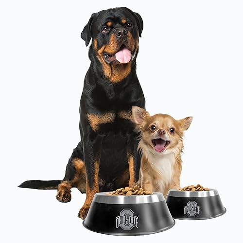 Ohio State Buckeyes Pet Bowl - Small, Laser-Etched Stainless Steel