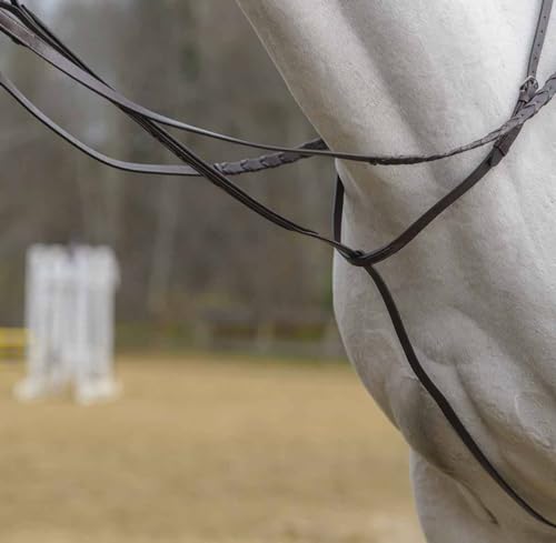 Shires Avignon Standing Martingale Full Havana - Raised Padded Horse Tack