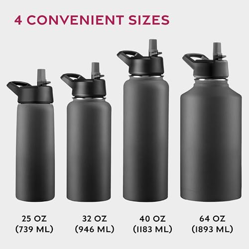 FineDine 25 Oz Insulated Water Bottle with Straw - Inky Raven Black, Triple Wall, Leak-Proof, Durable, BPA-Free