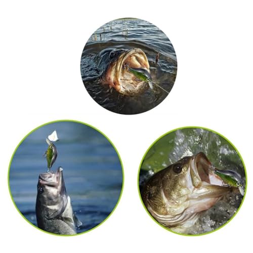 20-Piece Fishing Lures Kit with Tackle Box - Crankbaits, Jigs & More