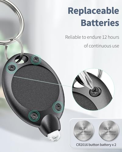 Mini LED Keychain Flashlight - 5 Pack, Black Shell with White Light