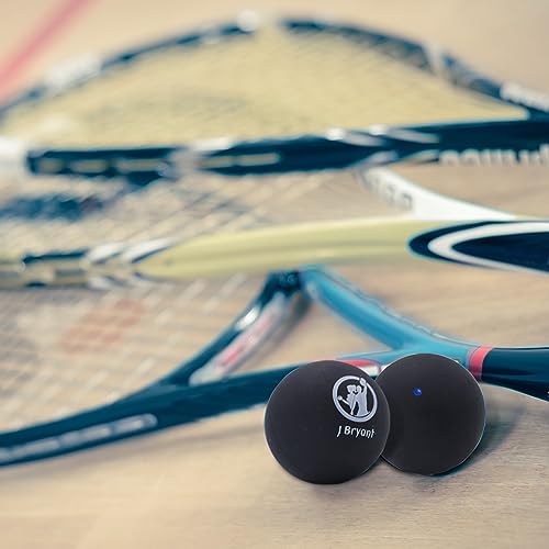 Blue Dot Squash Balls - 4 Pack for Beginners and Kids Training