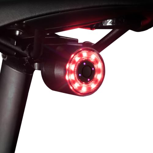 ROCKBROS USB Rechargeable Bike Tail Light (IPX5) - 5 Modes, Dual Mount
