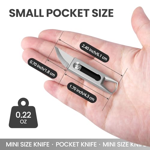KAMBOLLY Small Keychain Knife, 2pcs Mini Keychain Box Cutter, Tiny Pocket Knives with Stainless Steel Blade, EDC Package Opener Safety Lock, Little Cutting Tool for Open Box, Cool Gadgets for Women Men