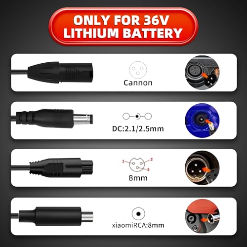 42V 2A Electric Scooter Charger for 36V Lithium Batteries