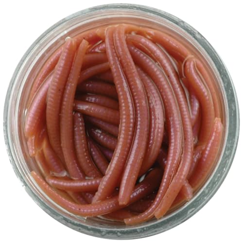 Gulp! Alive! Natural Angle Worm Bait - 1 Inch Jar