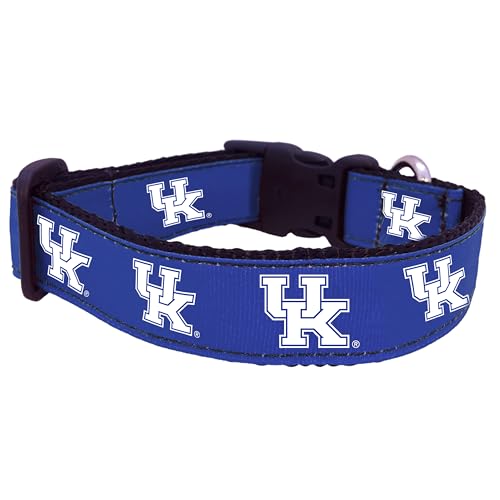 NCAA Kentucky Wildcats Dog Collar - Medium, Team Color