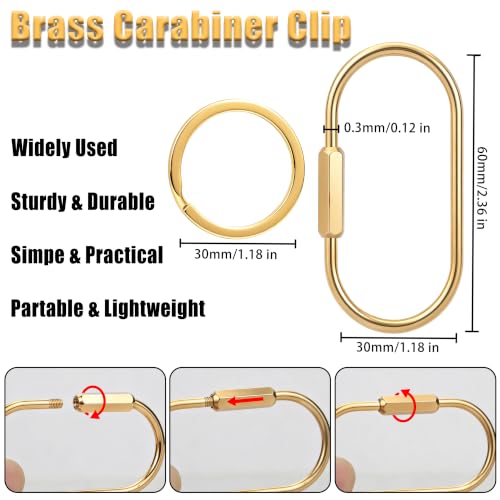 Gold Brass Key Rings - Screw Lock Organizer & Carabiner Keychain Clip - 2 Pcs Silver Black