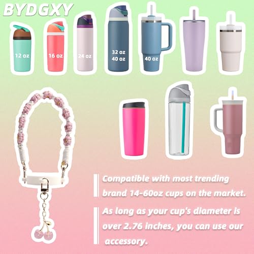 Owala Water Bottle Accessories Set - Cherry Pink