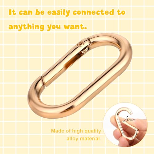 2 Pcs Gold Carabiner Key Clips - Heavy Duty Spring O Ring for Bags & Keys