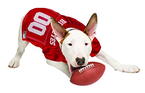 Ohio State Buckeyes Mesh Dog Jersey for Pets - Medium Size