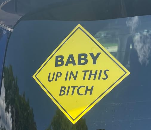 Baby Up In This Bitch Decal - 5x5 Inch Glossy Vinyl Sticker