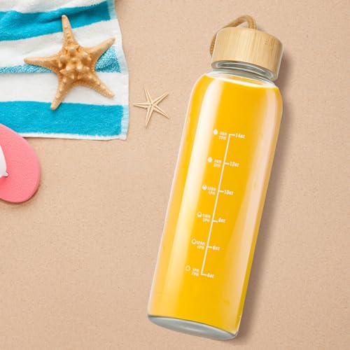 17oz Borosilicate Glass Water Bottle with Lid & Time Marker