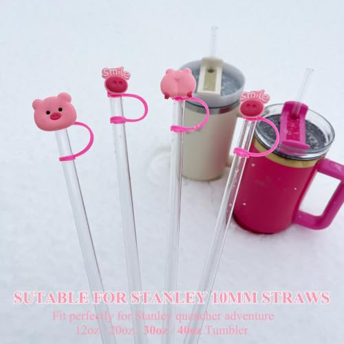 Cute Pig Straw Covers for 10mm Straws - Pig Design