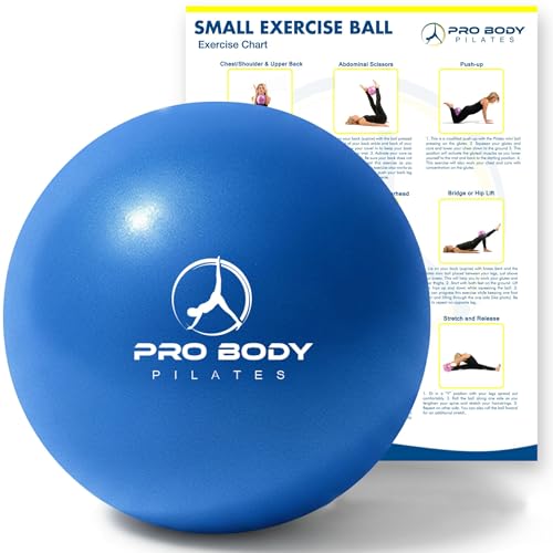 9-Inch Pilates Ball - Anti-Burst Exercise Ball for Rehab & Yoga