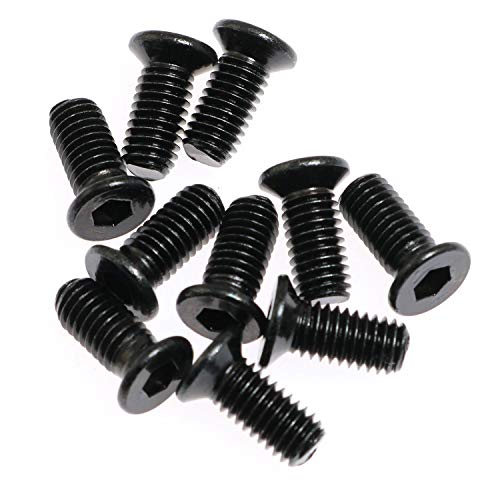 Stainless Steel Scooter Fixing Screw Kit - 10 Forehead Screws + 1 Hex Screw