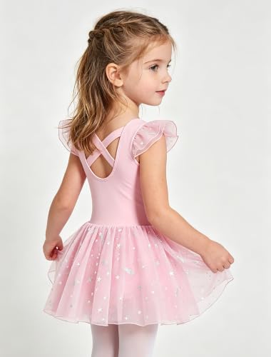 Toddler Girl Ballet Leotard Dress with Shiny Star Skirt - Ballet Pink, 4-6 Years