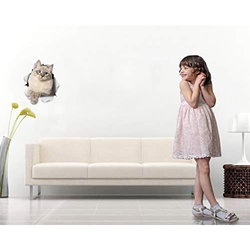 Winston & Bear 3D Cat Stickers - 2 Pack - Siberian Kitty Cat Decals for Wall - Stickers for Bedroom - Fridge - Toilet - Room - Retail Packaged