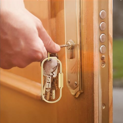 Brass Screw Lock Keychain Set with 8 Flat Rings - Gold